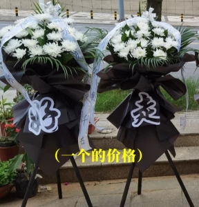 Ѻ-ջɢβҶϣ»<Ứ>