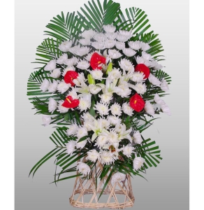 Ե-ջٺϣɢβҶϣ»<Ứ>