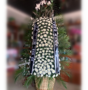 -ջɢβҶϣ»Լ1.8<Ứ>