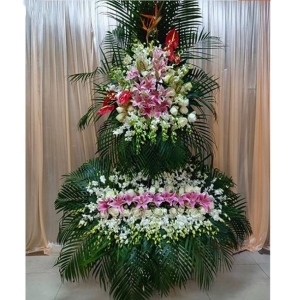 ߷-õ塢ٺϡɢβҶϣ˫»<Ứ>