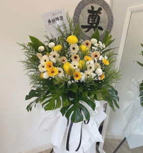 ƺʧ-ջʡɢβҶϣ»<Ứ>