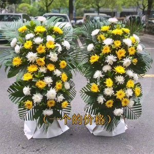 ˼-ջɢβҶϣ˫»<Ứ>