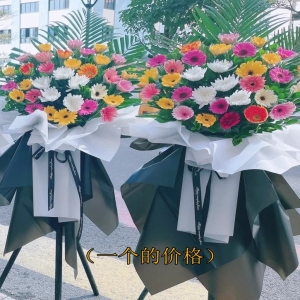 ڰ˳-ջʣɢβҶϣ»<Ứ>